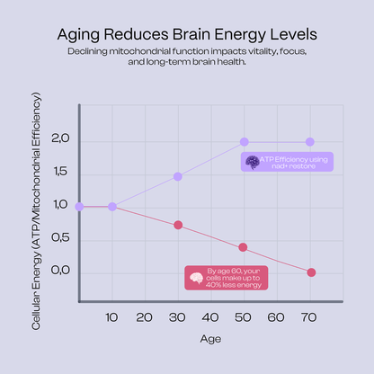 NAD⁺ Restore | 17-in-1 Longevity Blend