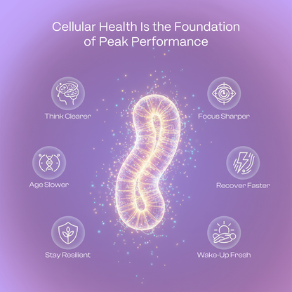 NAD⁺ Restore | 17-in-1 Longevity Blend