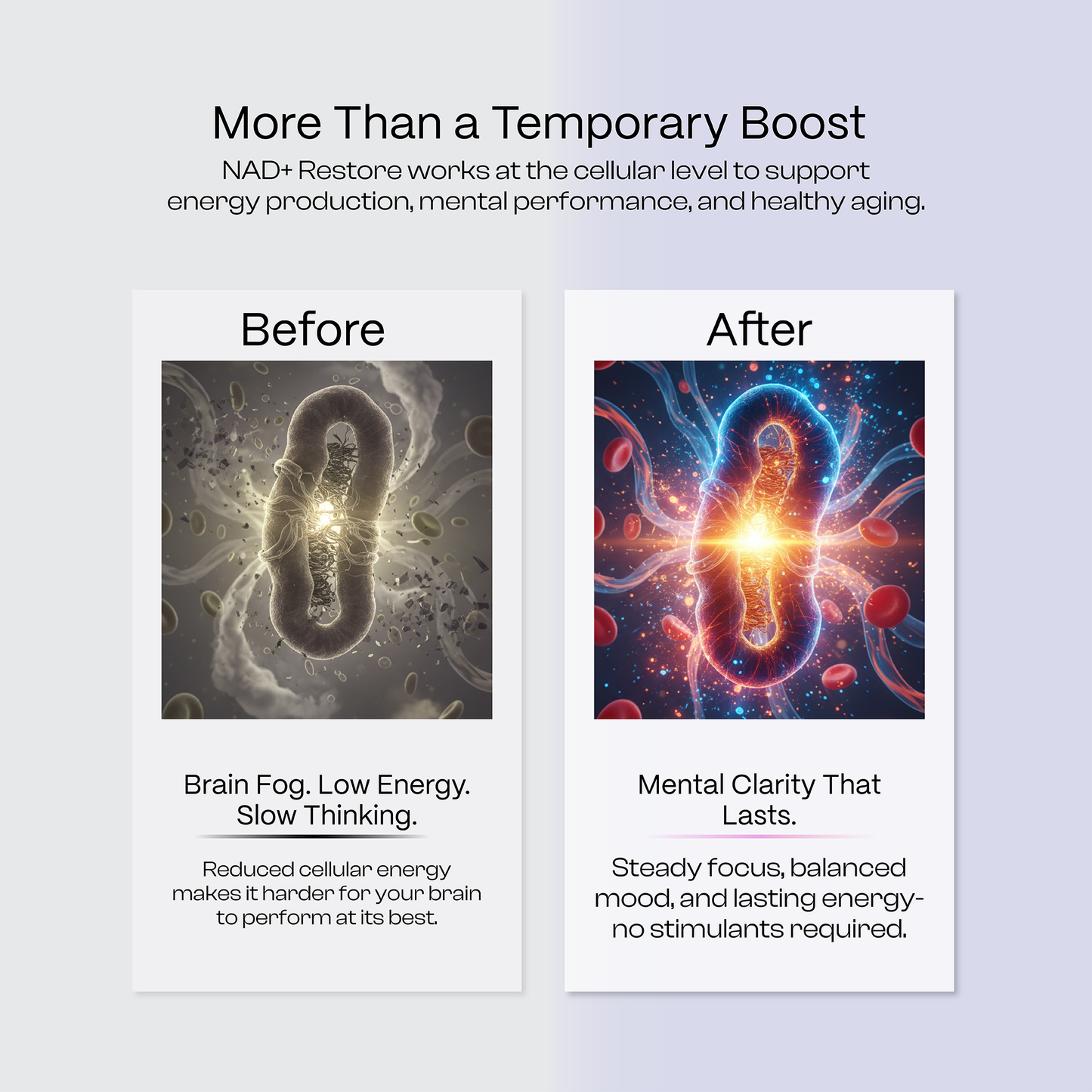 NAD⁺ Restore | 17-in-1 Longevity Blend